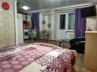 Апартаменты Practical studio in CityCenter Николаев Апартаменты-3