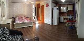 Апартаменты Practical studio in CityCenter Николаев Апартаменты-8